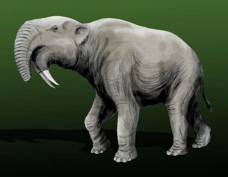 Giant animals in the history of the earth