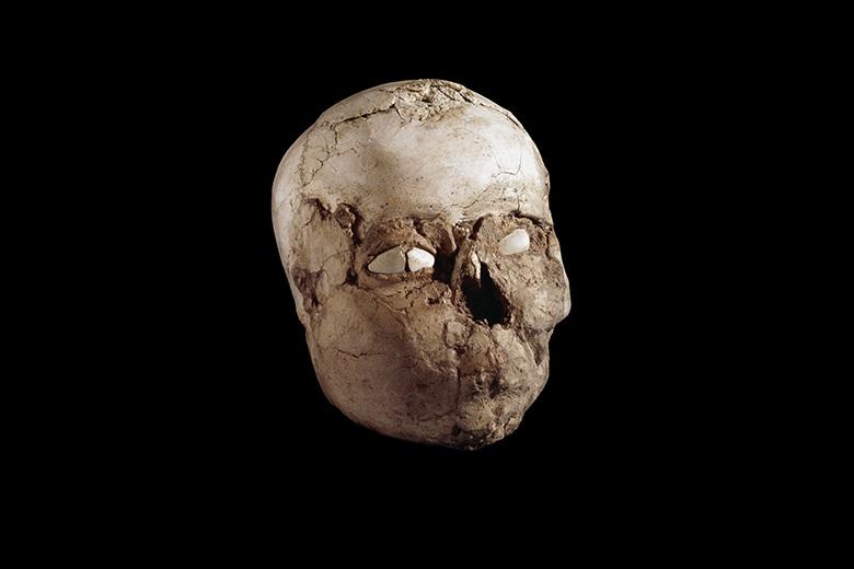 Jericho Skull