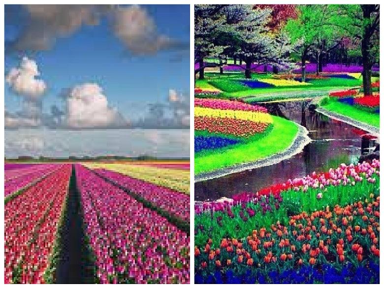 The most beautiful gardens in the world