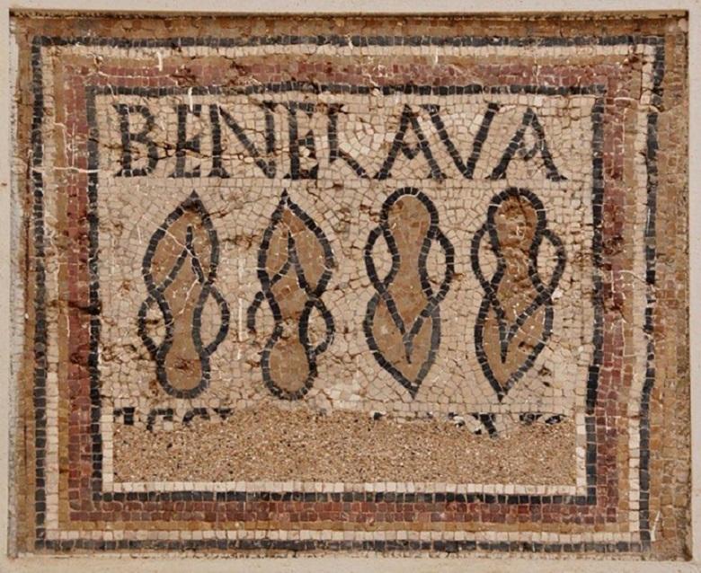 Mosaic found in Timgad