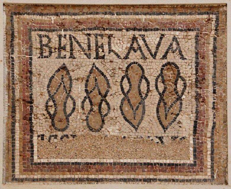 Mosaic found in Timgad