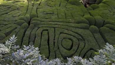 Encrypted message in medieval hieroglyphic puzzle of garden of ancient Galicia