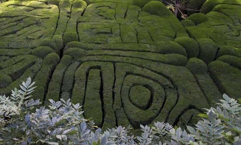 Encrypted message in medieval hieroglyphic puzzle of garden of ancient Galicia
