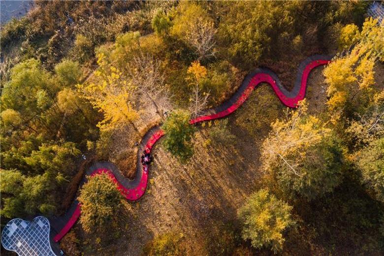 Red Ribbon, Tanghe River Park, China