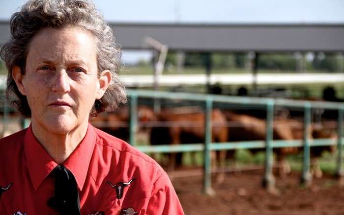 How autistic woman invented hugging machine and became a professor