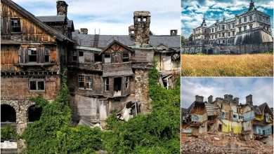 Abandoned castles that 100 years ago conquered with grandeur