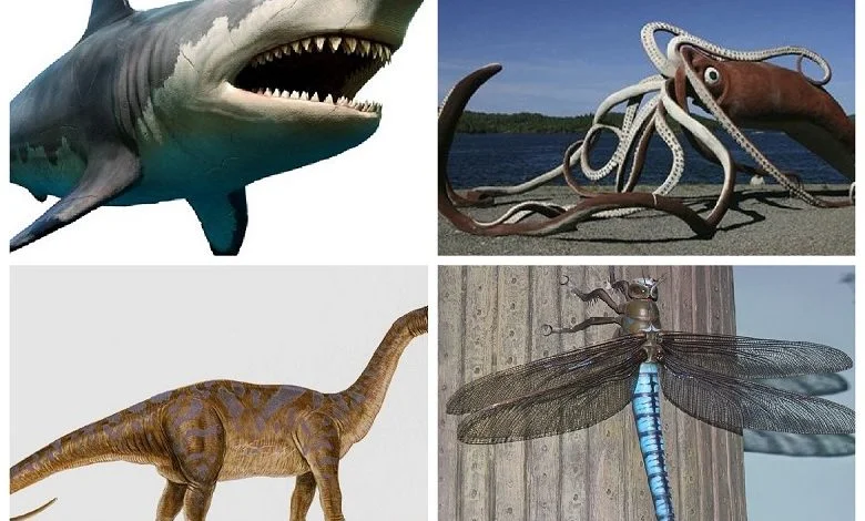 Giant animals in the history of the earth
