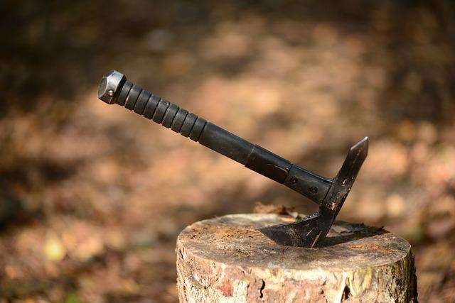 From America to Caspian Sea, Greenland and to Africa: How Vikings almost Conquered the earth