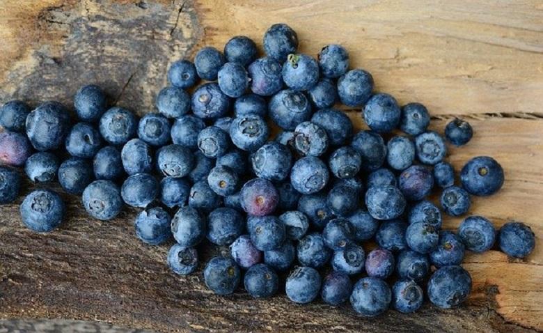 5 health benefits of blueberries you may not have known about