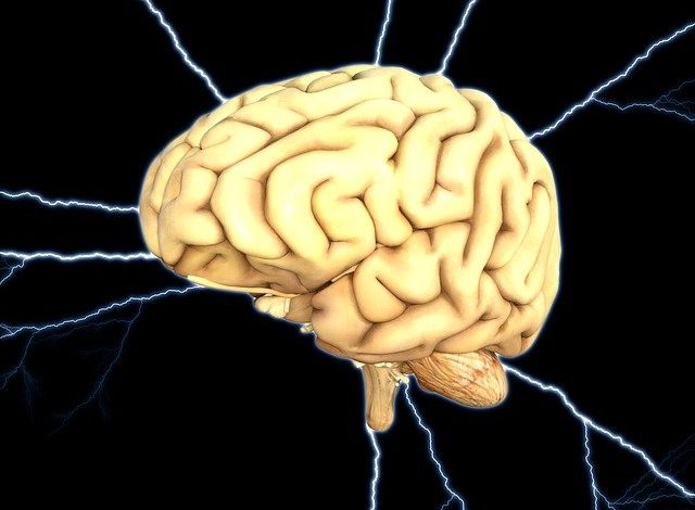 Most dangerous foods for the brain have become known
