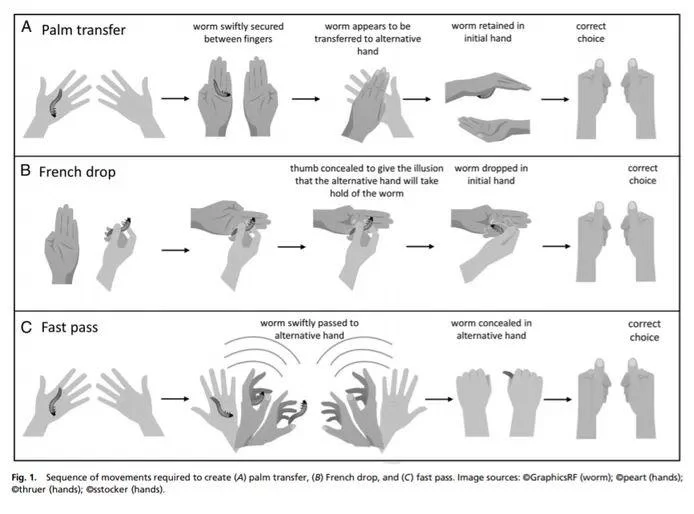 These birds won’t be fooled, not even by magic tricks