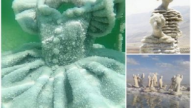 Salt sculptures of the Dead Sea that make you freeze with delight