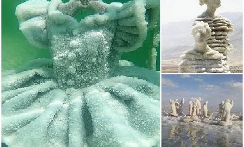 Salt sculptures of the Dead Sea that make you freeze with delight