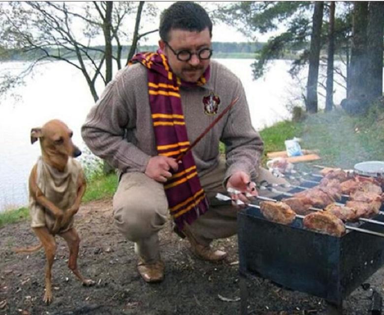Harry Potter and Dobby are not the same