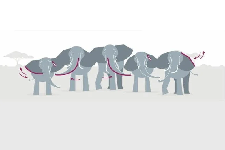 A sketchy image of the greeting of elephants