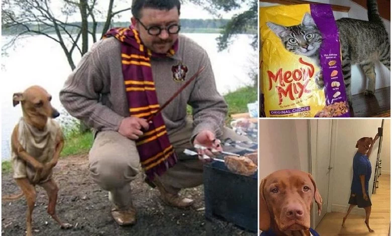 Weird but funny animal photos that raise a lot of questions