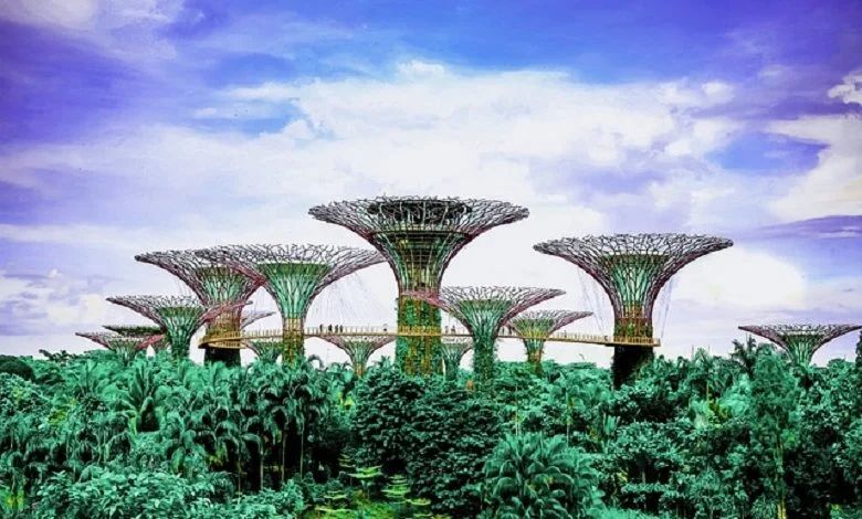 The most beautiful gardens in the world