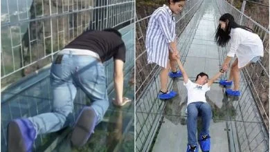 These observation decks, only the most courageous climb them