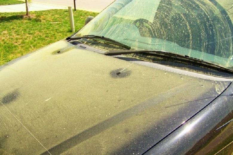 This is how you get rid of that harmful pollen on your car