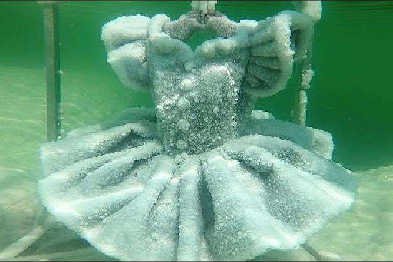 Salt sculptures of the Dead Sea that make you freeze with delight