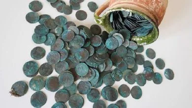 Mysterious jug with a coin discovered in abandoned village church