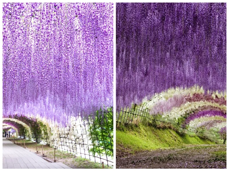 The most beautiful gardens in the world