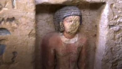 What hides in a 4,000 years priest’s tomb recently discovered in Egypt