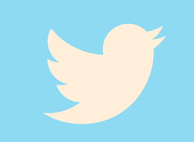 Nigeria and 3 other countries that have banned Twitter