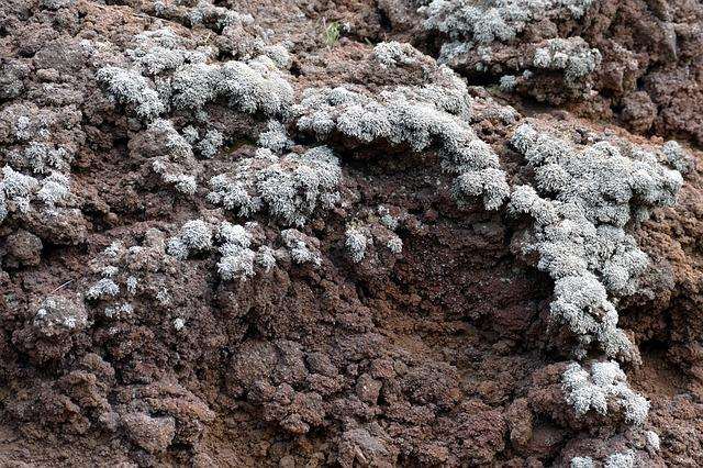 Buried under the lava of Vesuvius, What the ancient Roman city of Herculaneum looked like