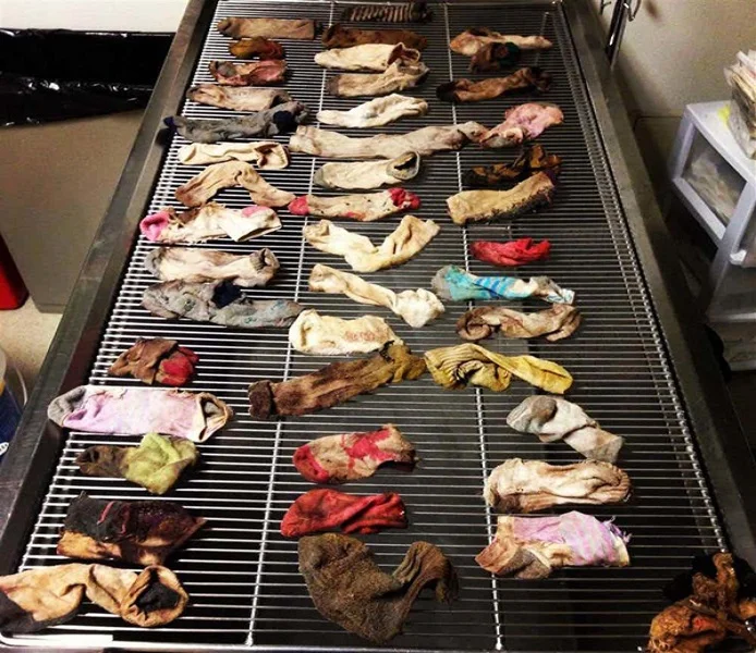 45 socks