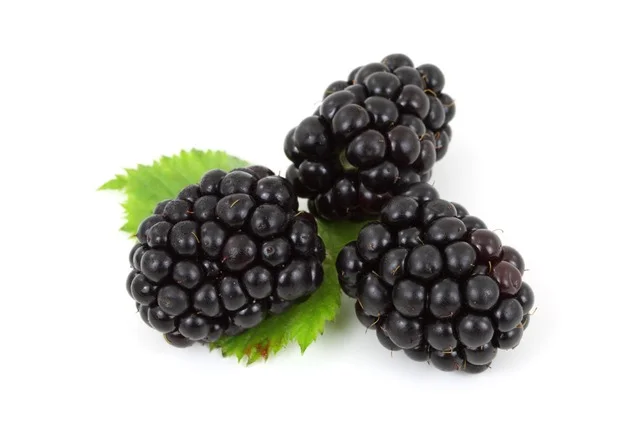 Top 5 most useful berries for the heart and blood vessels