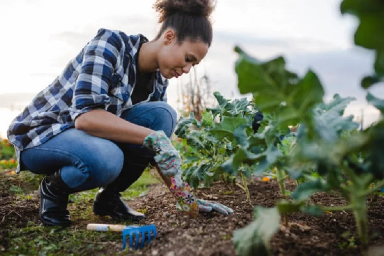 Five gardening benefits you may not know about