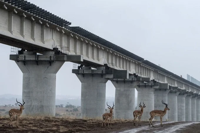 China’s huge railway project in Kenya will have serious environmental consequences