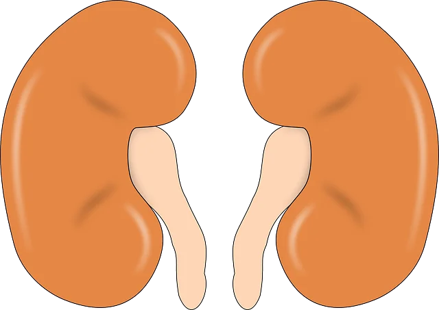 10 habits that kill our kidneys