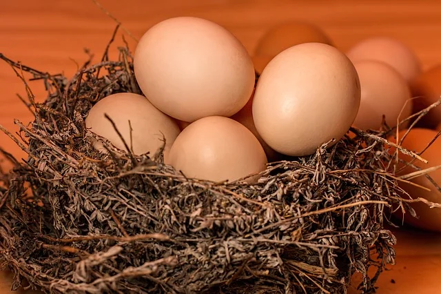 9 incredible things that happen to your body when you eat 2 eggs for breakfast