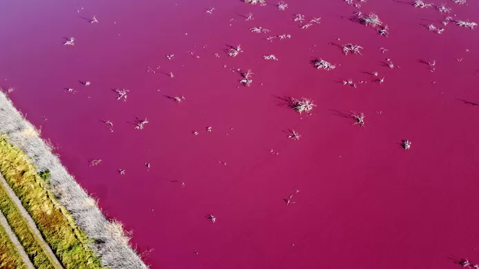 Patagonia turns pink due to pollution 