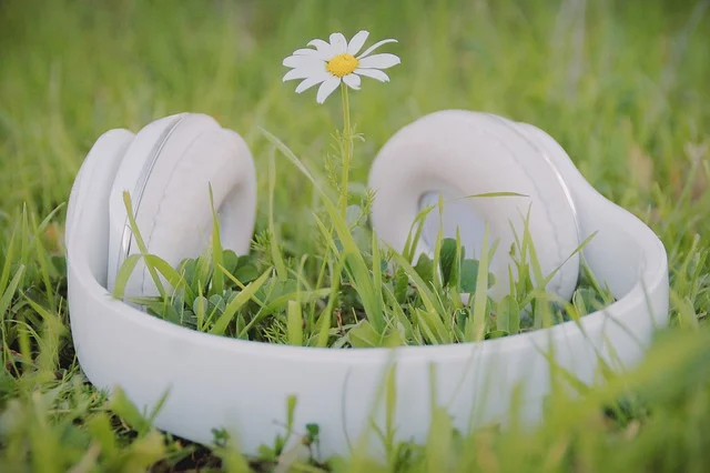 Listening to the song of plants? It’s possible via innovative device
