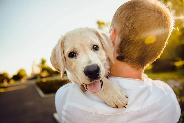 All about dogs: 100 facts everyone should know