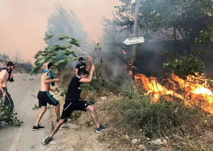 Algerians trying to stop the fire