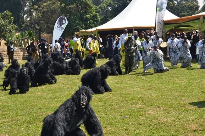 Kwita Izina young Gorillas naming ceremony