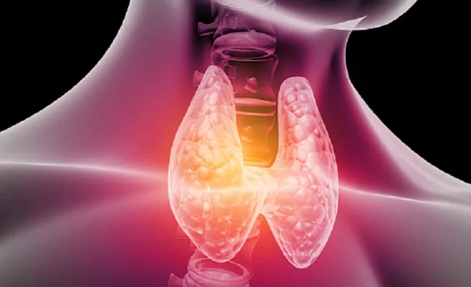 8 signs of thyroid dysfunction everyone should know about