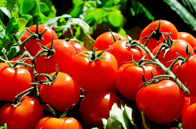 5 health benefits of tomatoes you might not know
