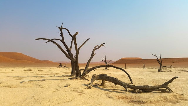 10 interesting facts about Namibia
