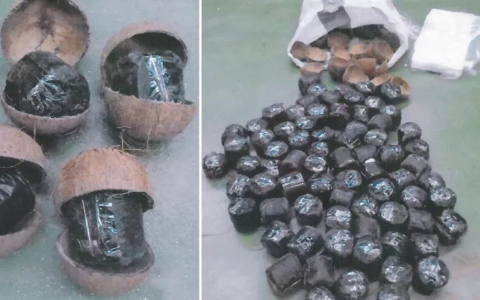 Drug dealer hides 140 kilos of cannabis in coconuts