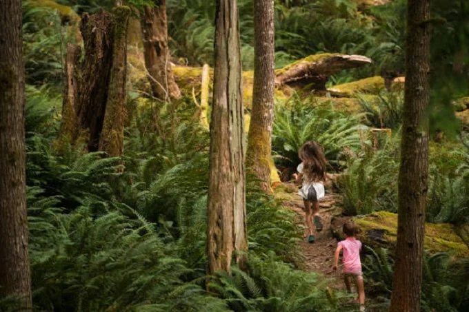The real Mowgli: kids living in the wild forest with animals