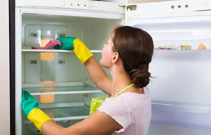 How to eliminate the unpleasant smell from the refrigerator: simple and proven ways