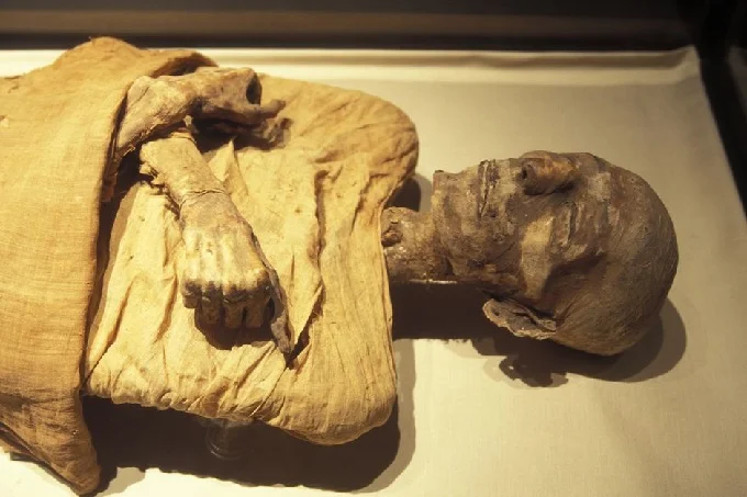 Ancient mummy DNA reveals Egyptian genetic origins