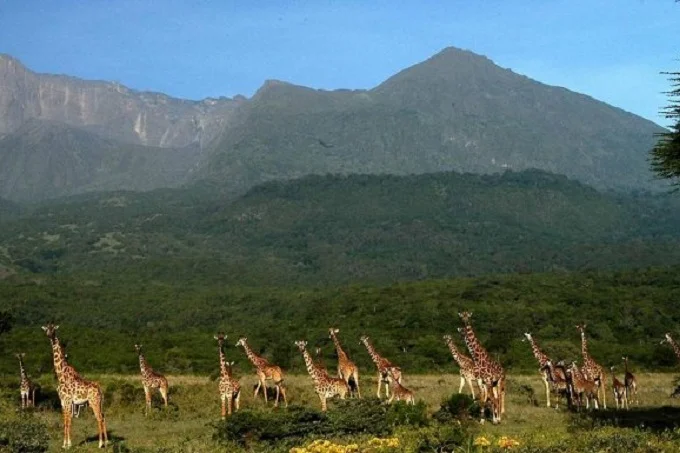 Arusha national park