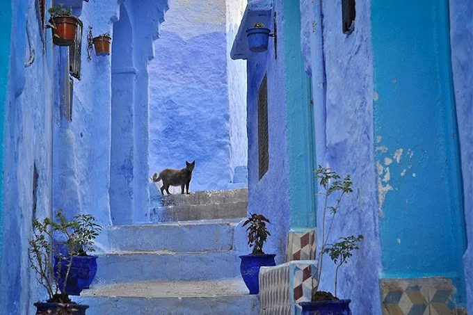Morocco blue city: why is the blue city in Morocco blue?