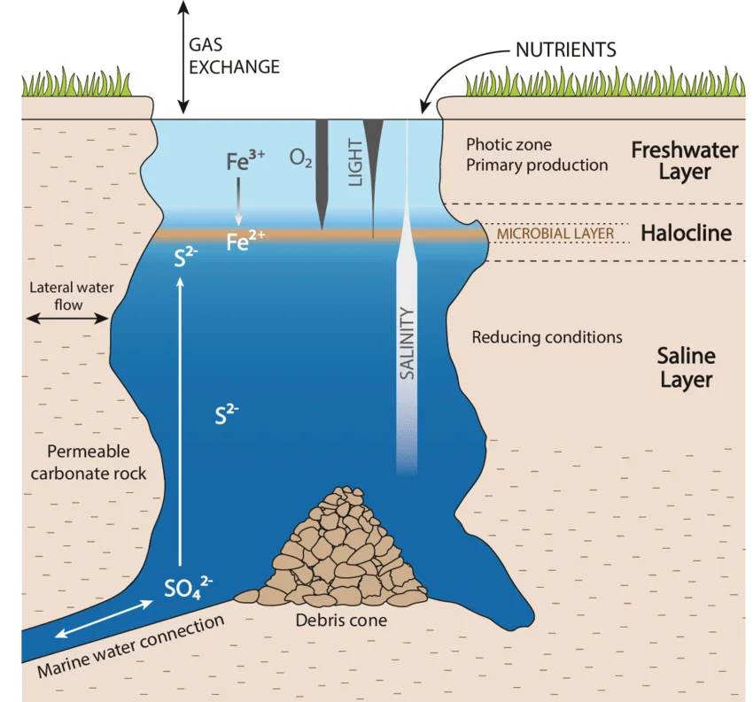 Schematic figure of a Blue Hole.